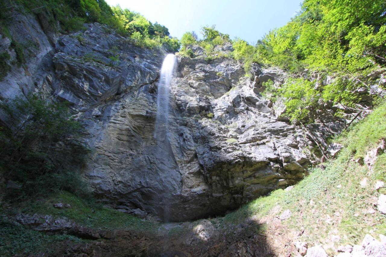 Ferienwohnungen Haus Waldwinkel اسخو ام شيمغاو المظهر الخارجي الصورة